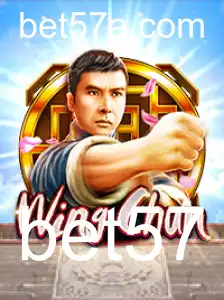 Descubra o Fascinante Mundo de WingChun